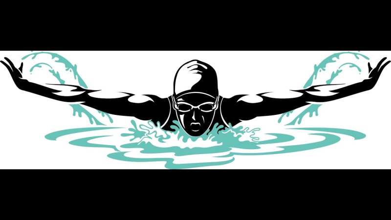 Пловец брассом вектор
