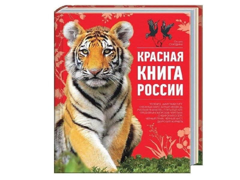 Красная книга России. Животные