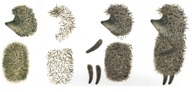 Ежик в тумане рисунок