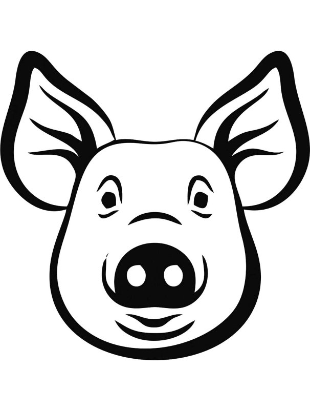 Морда свинки