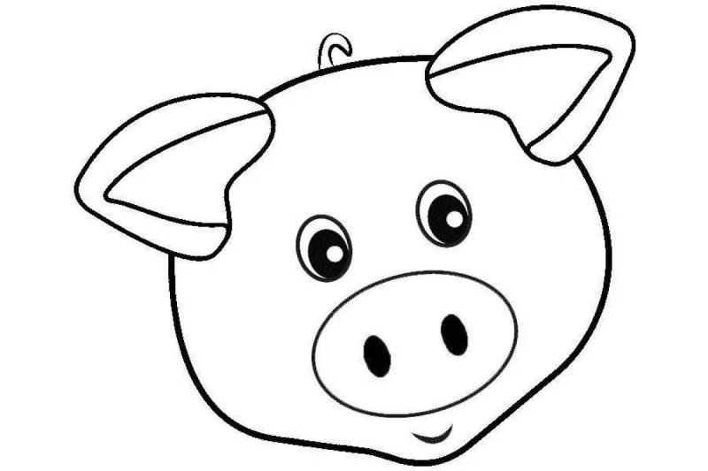 Мордочка поросенка