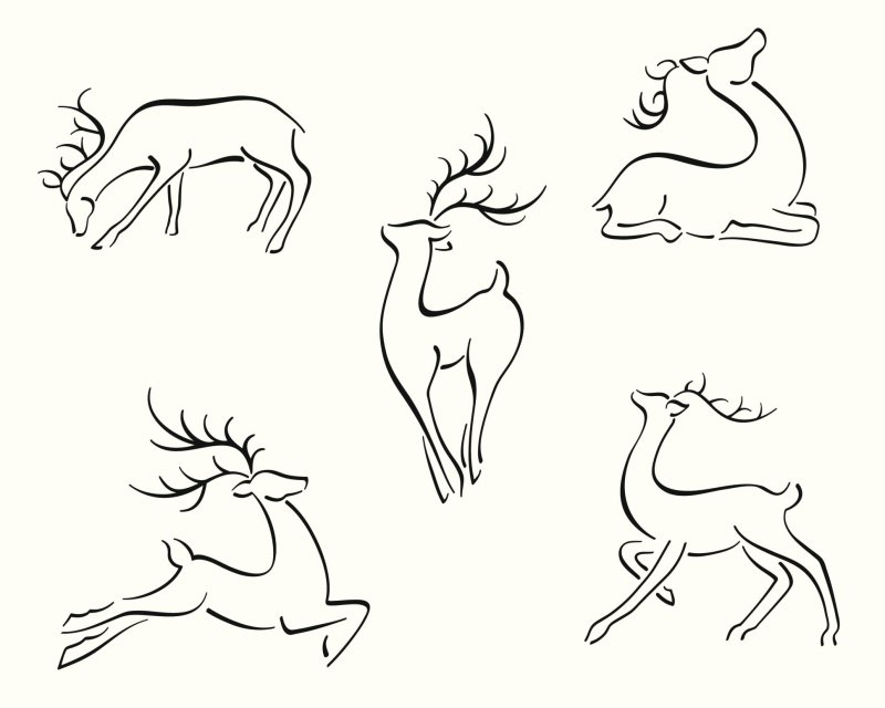 Поэтапное рисование оленя