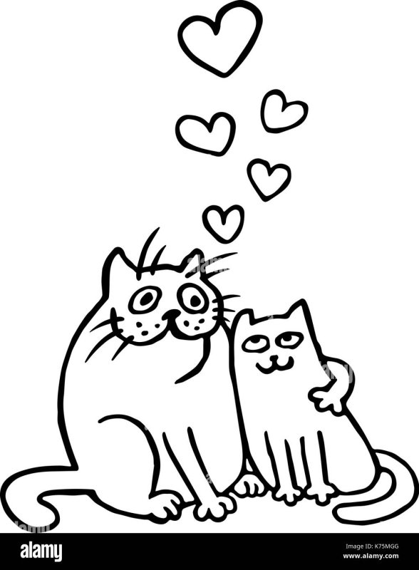 Котики пара контур