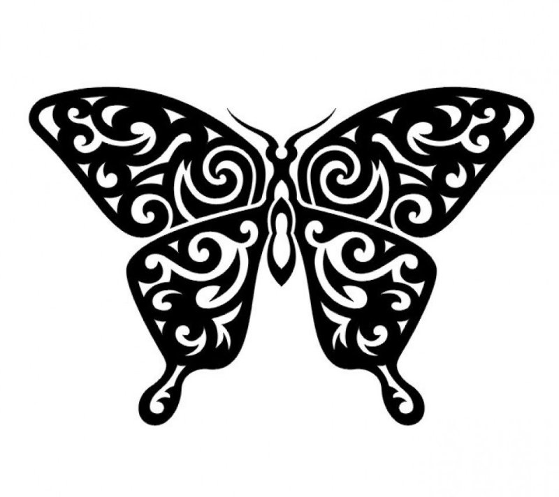 Трафареты бабочки