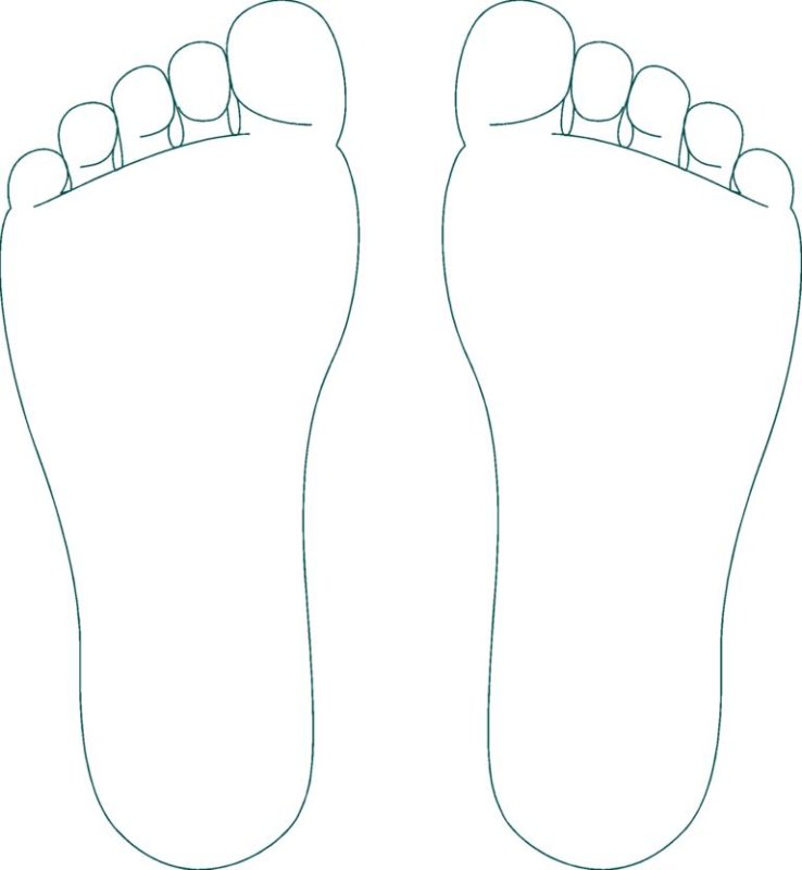 Контур стопы