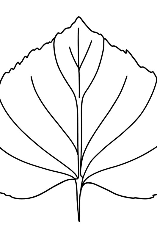 Листья деревьев раскраска