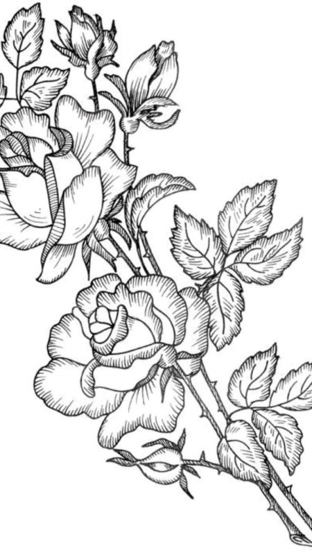 Рисунки для выжигания по дереву