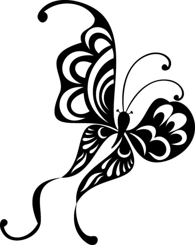 Трафареты бабочек для декора