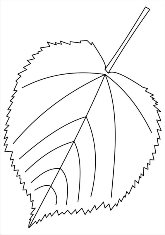 Листья деревьев раскраска