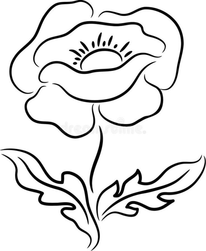 Мак раскраска