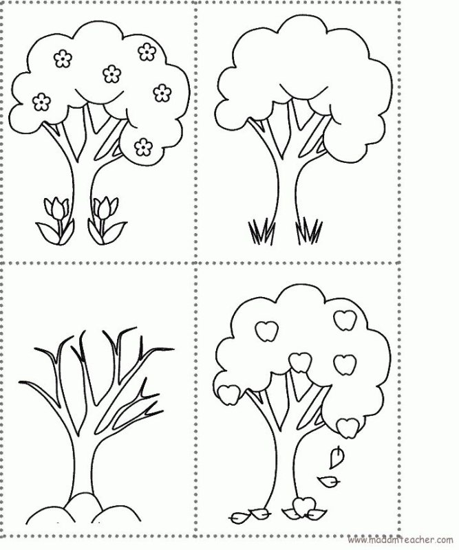 Деревья для дошкольников