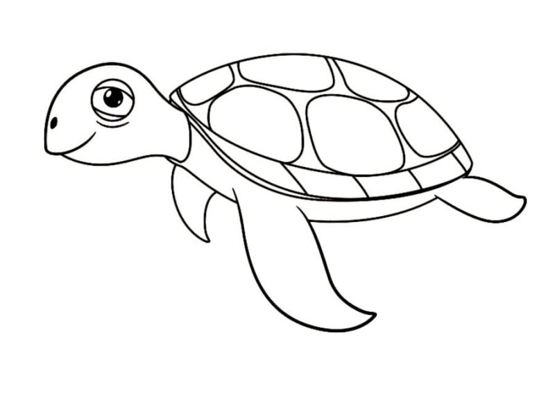 Черепаха раскраска