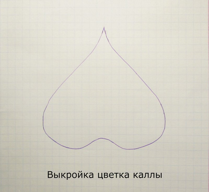 Трафареты лепестков цветов