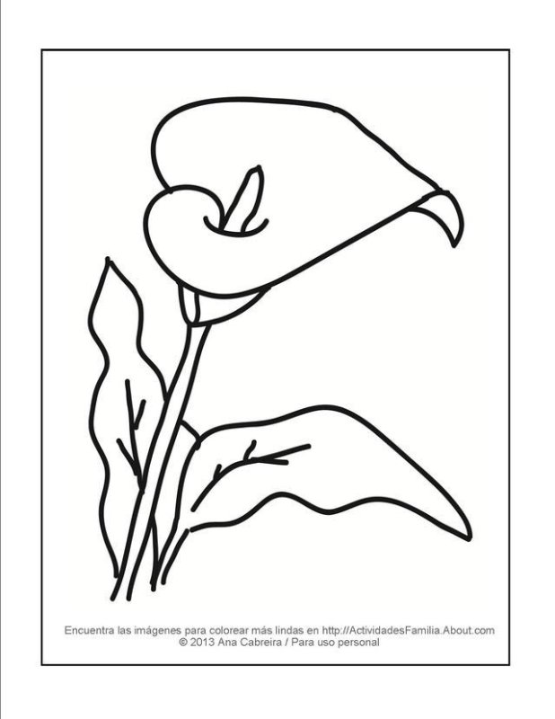 Трафарет каллы для вырезания