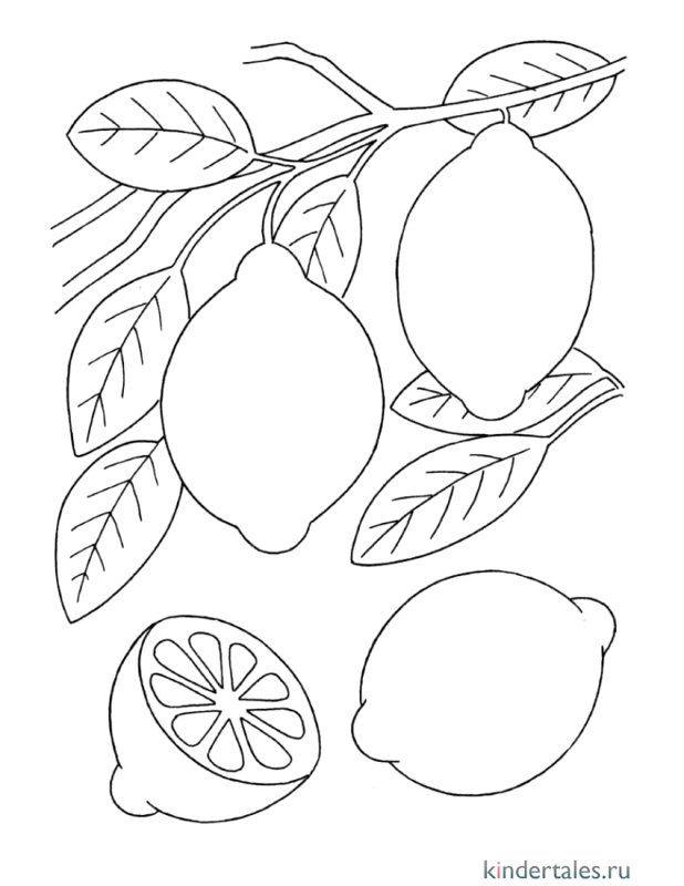 Фрукты трафареты для вырезания