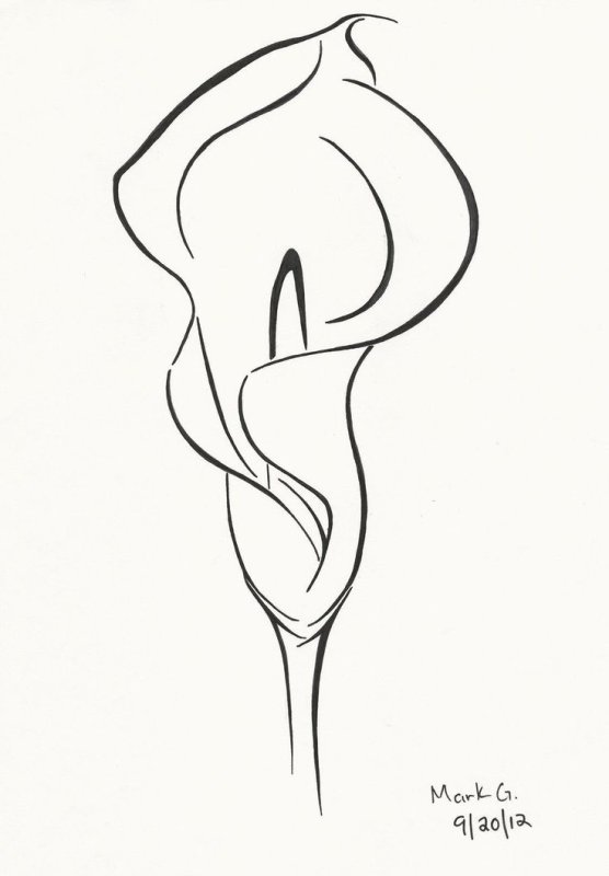 Каллы карандашом