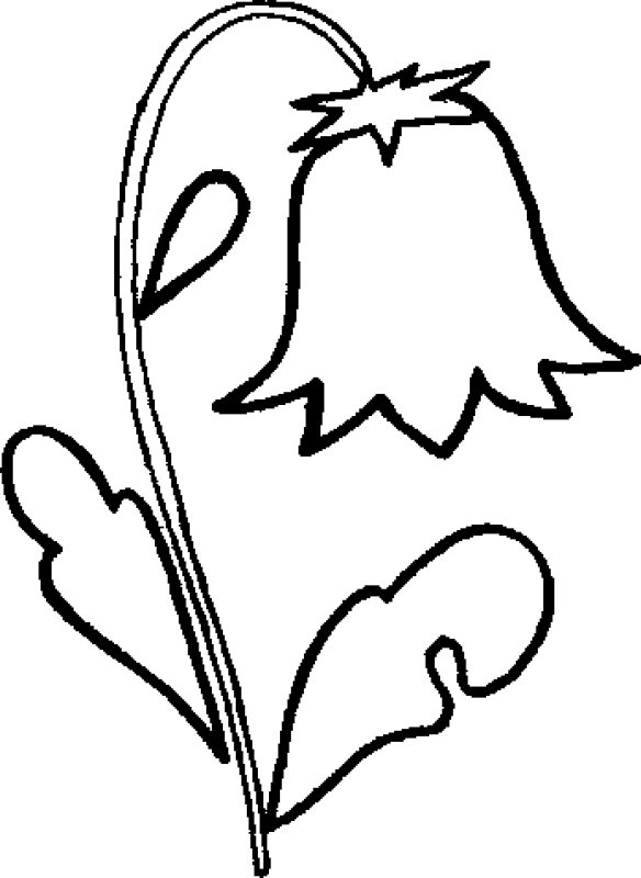 Весенние цветы раскраска для детей