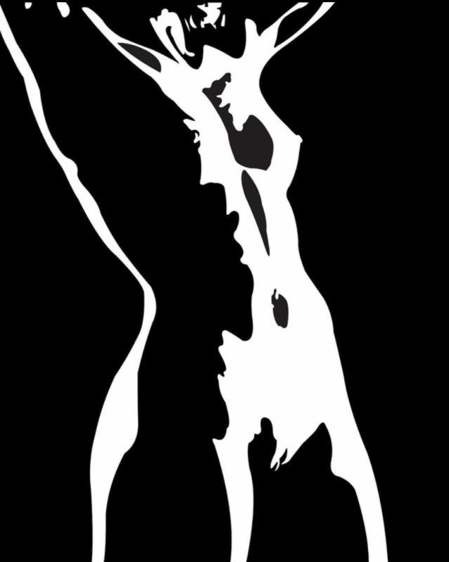 Черно белые силуэты