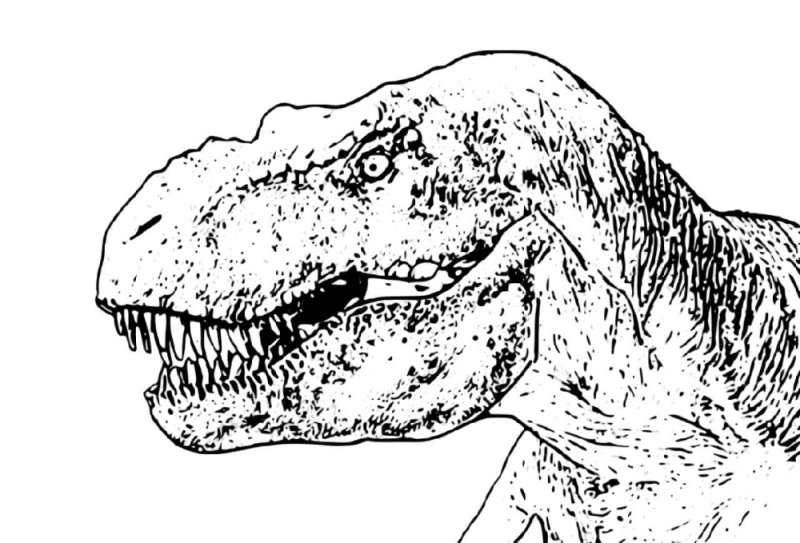 Тираннозавр рекс контур