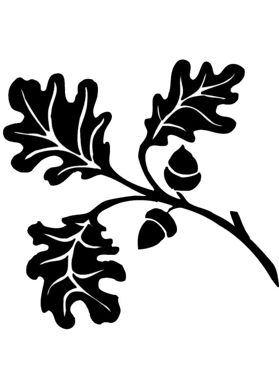 Узор дубовые листья