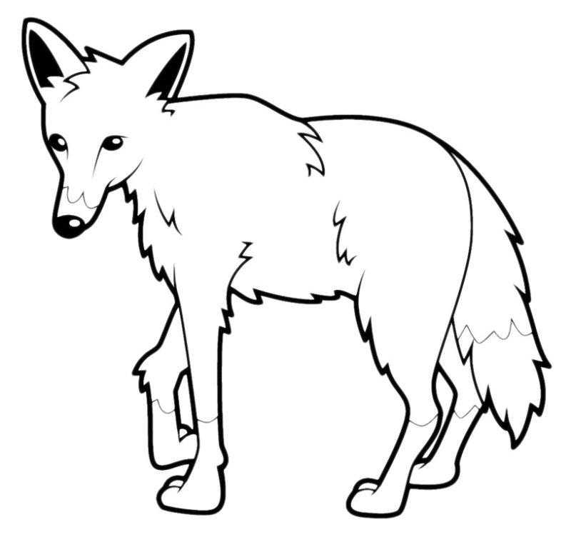 Красный волк раскраска