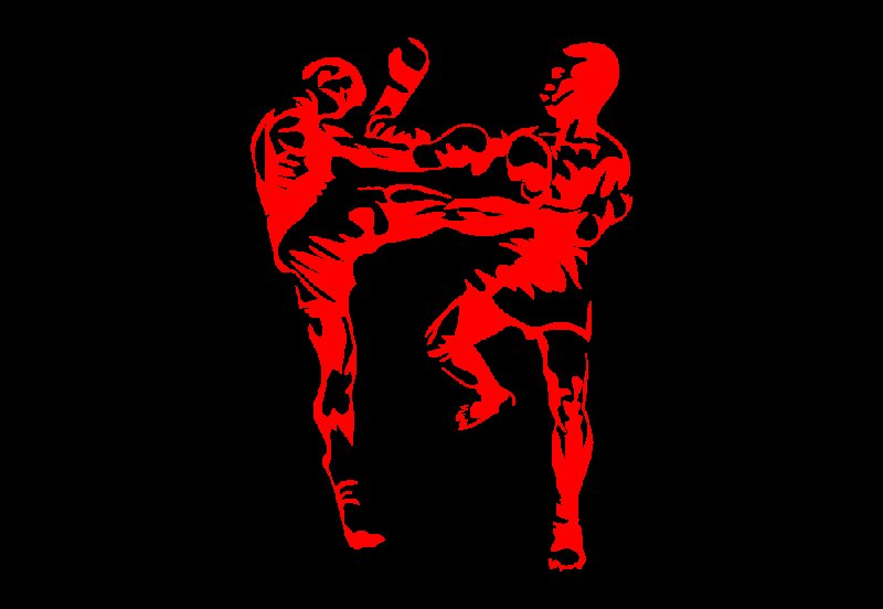 Наклейки кикбоксинг