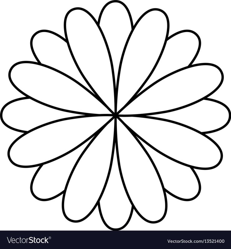 Цветок с лепестками рисунок