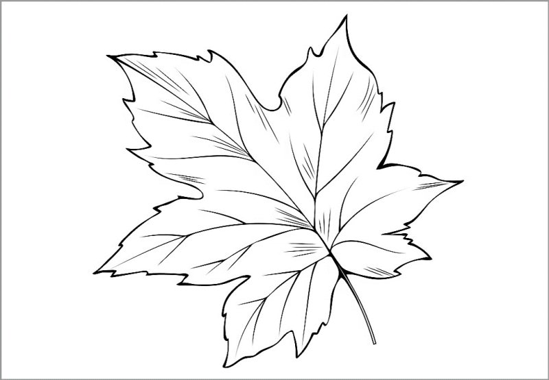 Кленовый лист силуэт