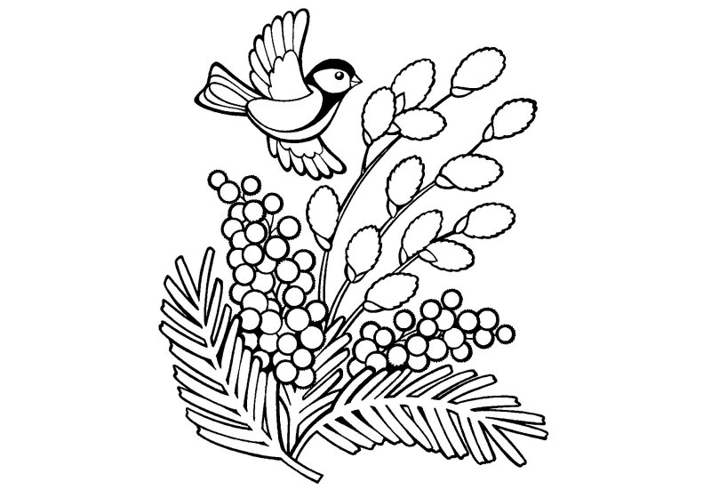 Веточка вербы раскраска