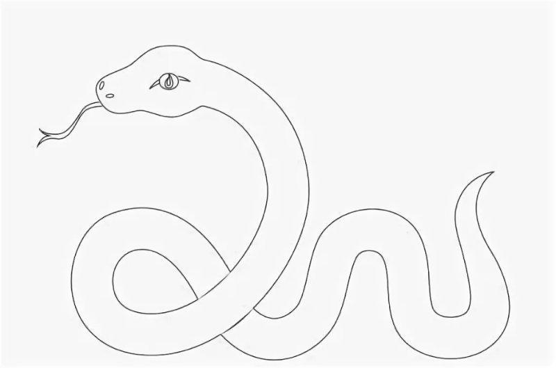 Змея раскраска