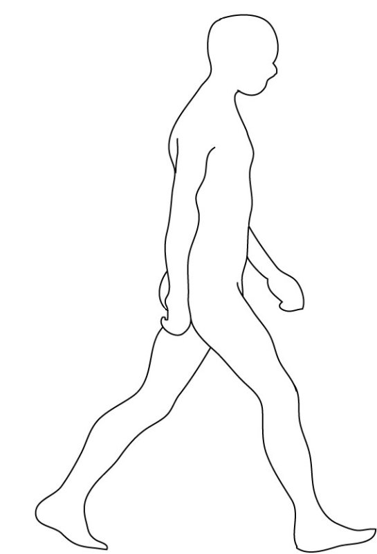 Человеческая фигура