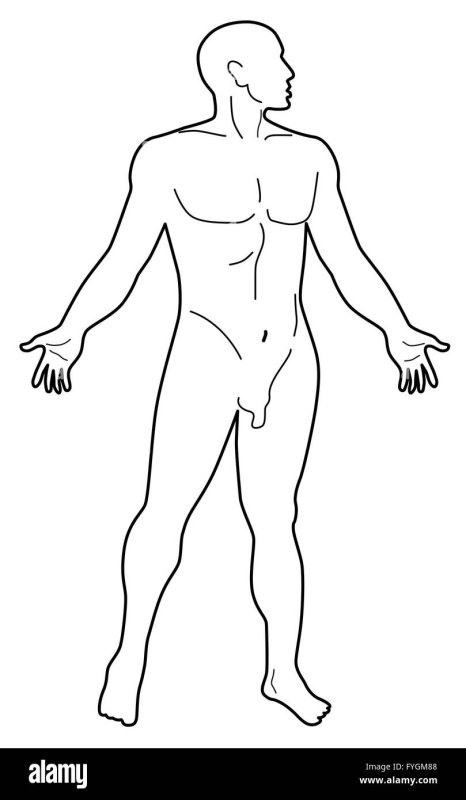 Силуэт голого мужчины