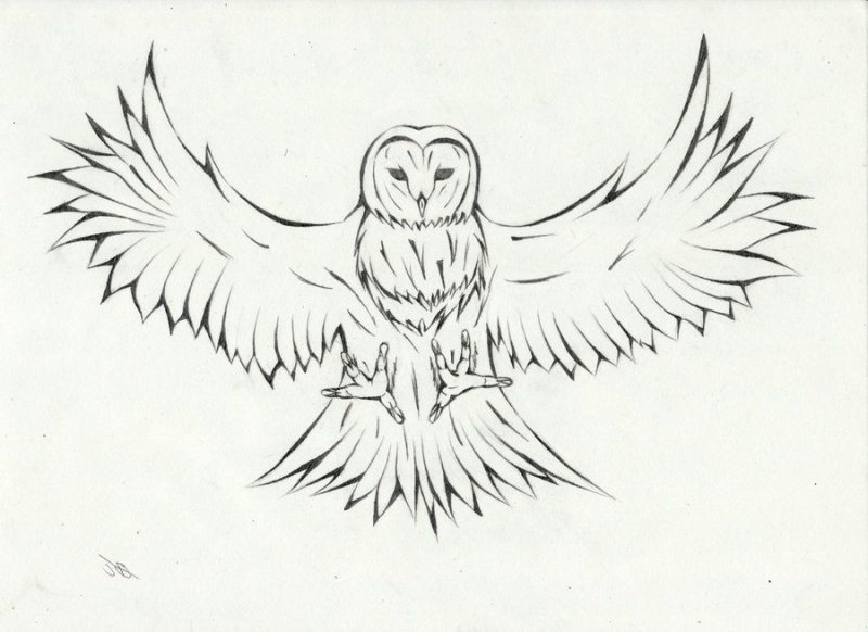 Сова с расправленными крыльями рисунок