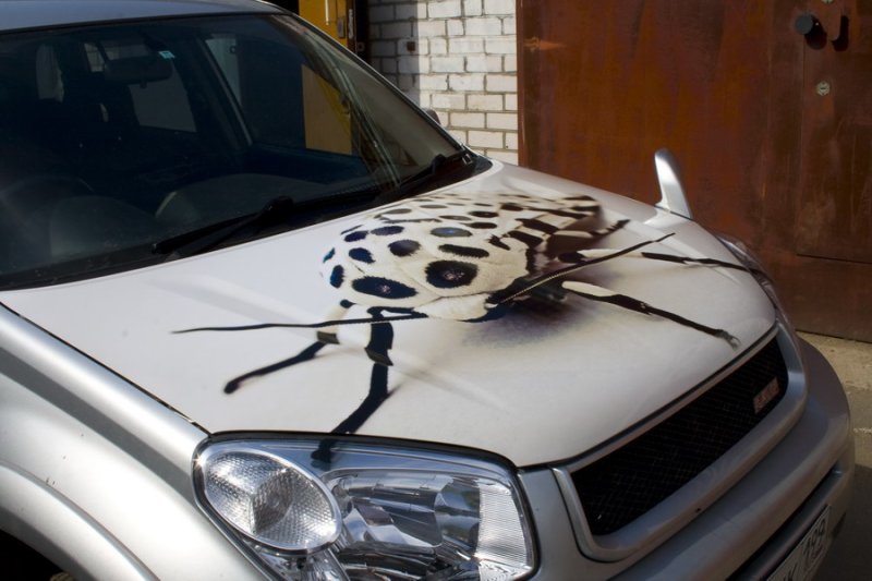 Пленка на капот