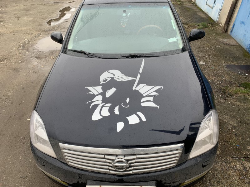 Наклейки на капот автомобиля