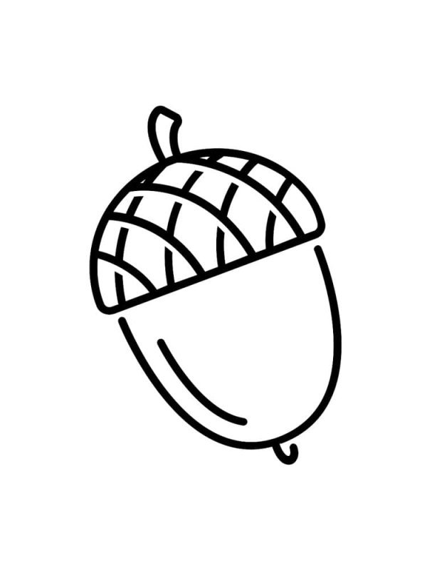 Орех раскраска