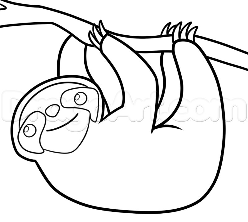 Контурный рисунок ленивца