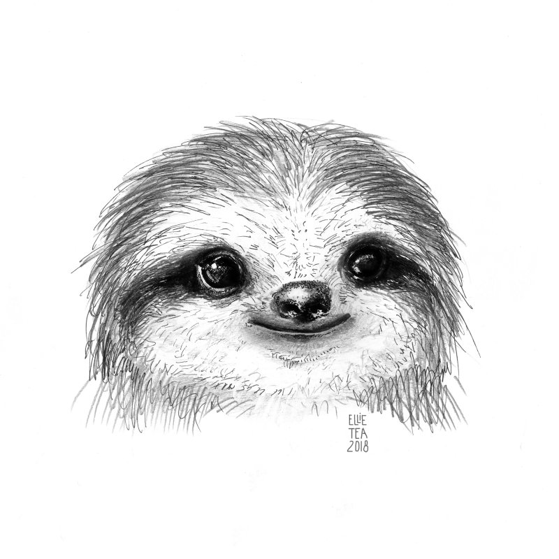 Ленивец для срисовывания