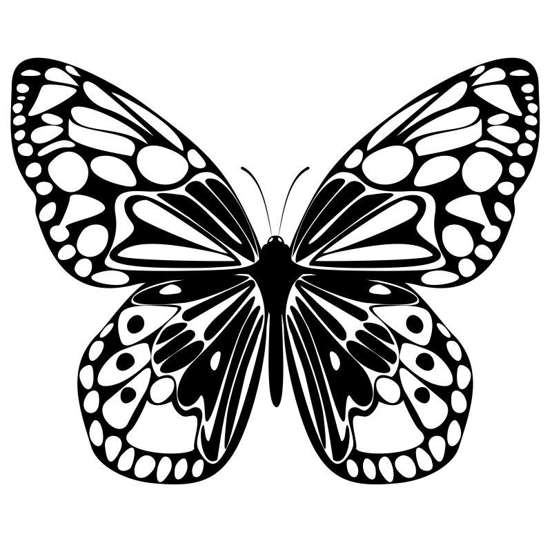 Бабочка шаблон для печати