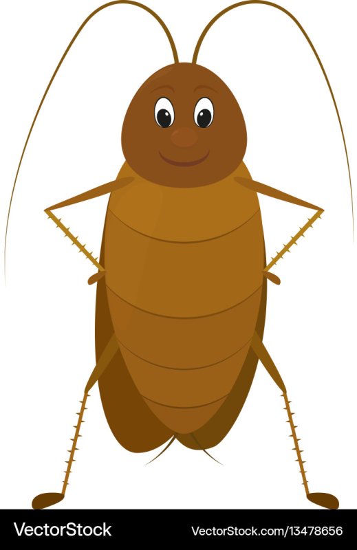 Картина тараканы для детей