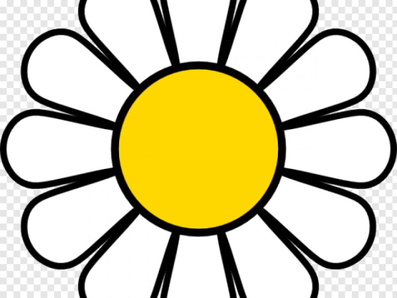 Ромашки для печати