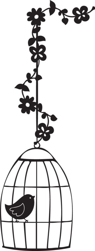 Птичка в клетке