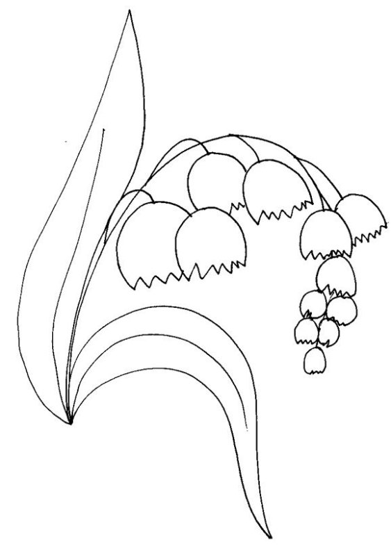 Ландыш цветок раскраска