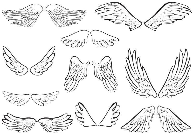 Крыло для распечатки