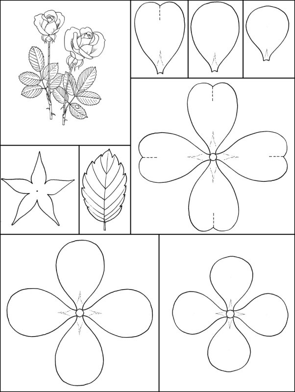 Чертеж цветка