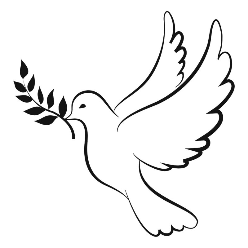 Голубь с веточкой в клюве