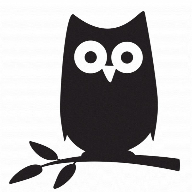 Векторное изображение Совы