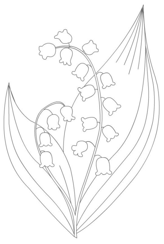 Ландыш раскраска для детей