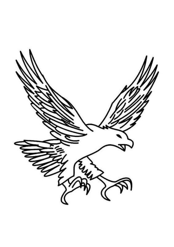 Птица эскиз