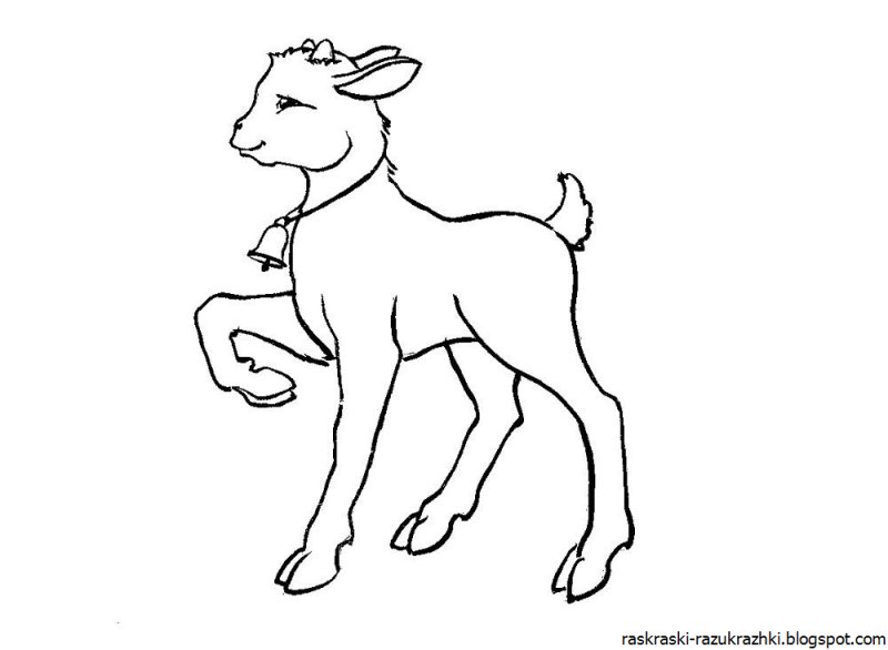 Козленок раскраска для детей